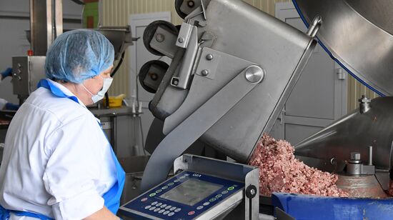 Russia Food Industry