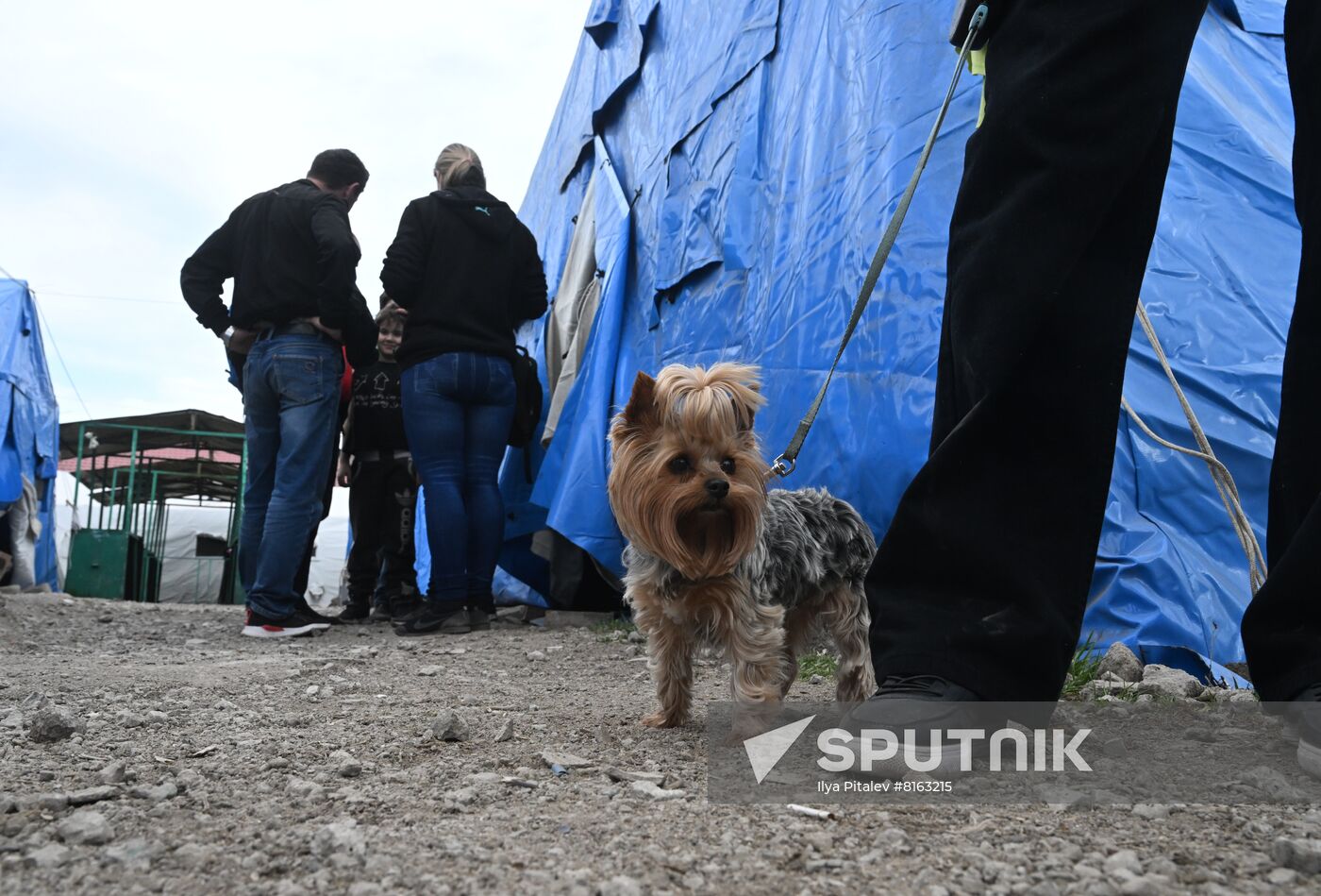 DPR LPR Russia Ukraine Military Operation