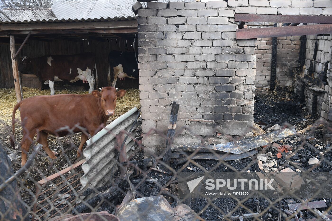 DPR LPR Russia Ukraine Military Operation