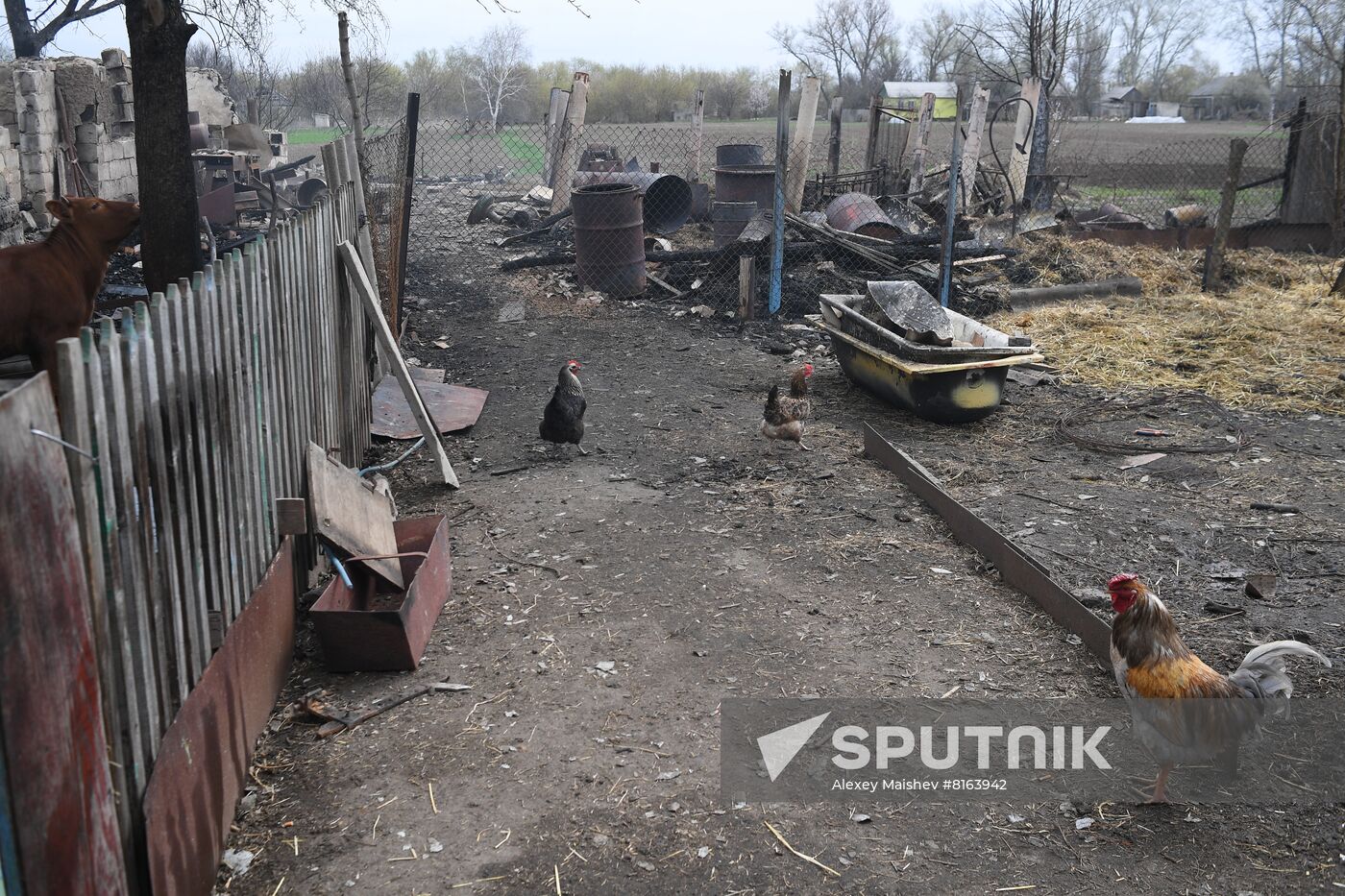 DPR LPR Russia Ukraine Military Operation