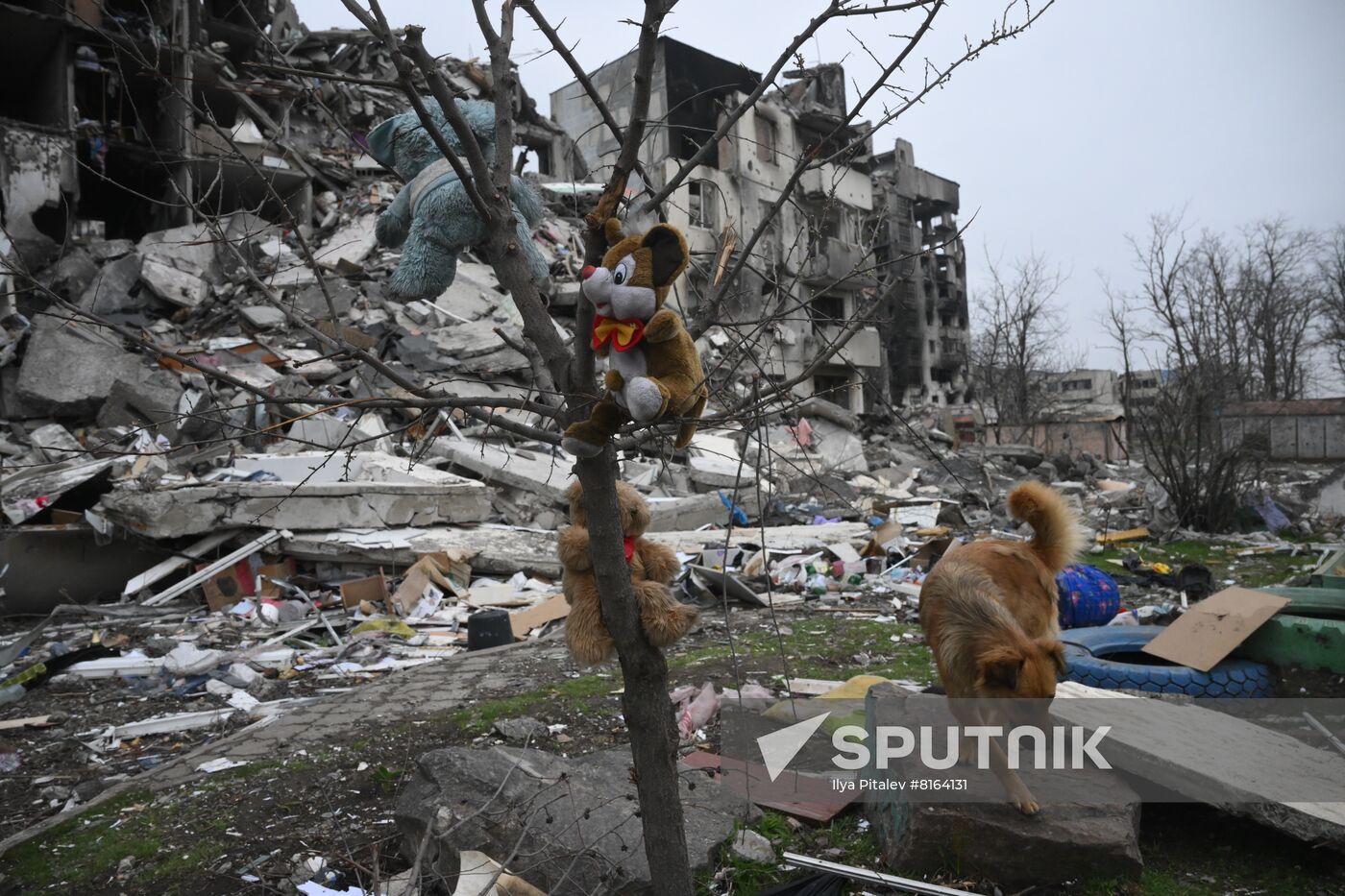 DPR LPR Russia Ukraine Military Operation