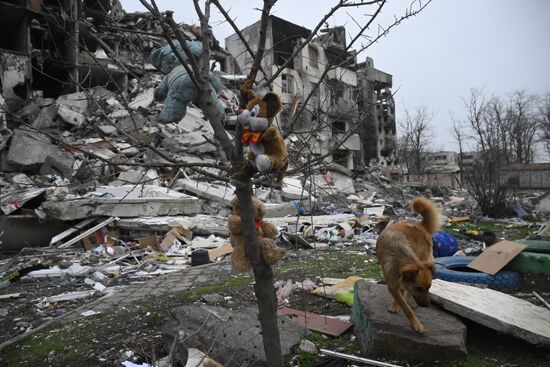 DPR LPR Russia Ukraine Military Operation