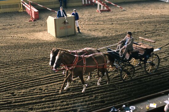 Moscow Equestrian Auction