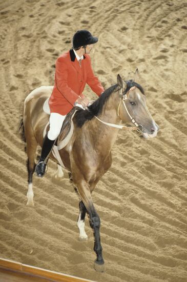 Moscow Equestrian Auction
