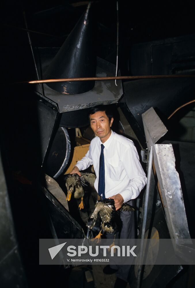 Doctor Yuri Jiang Kanzheng