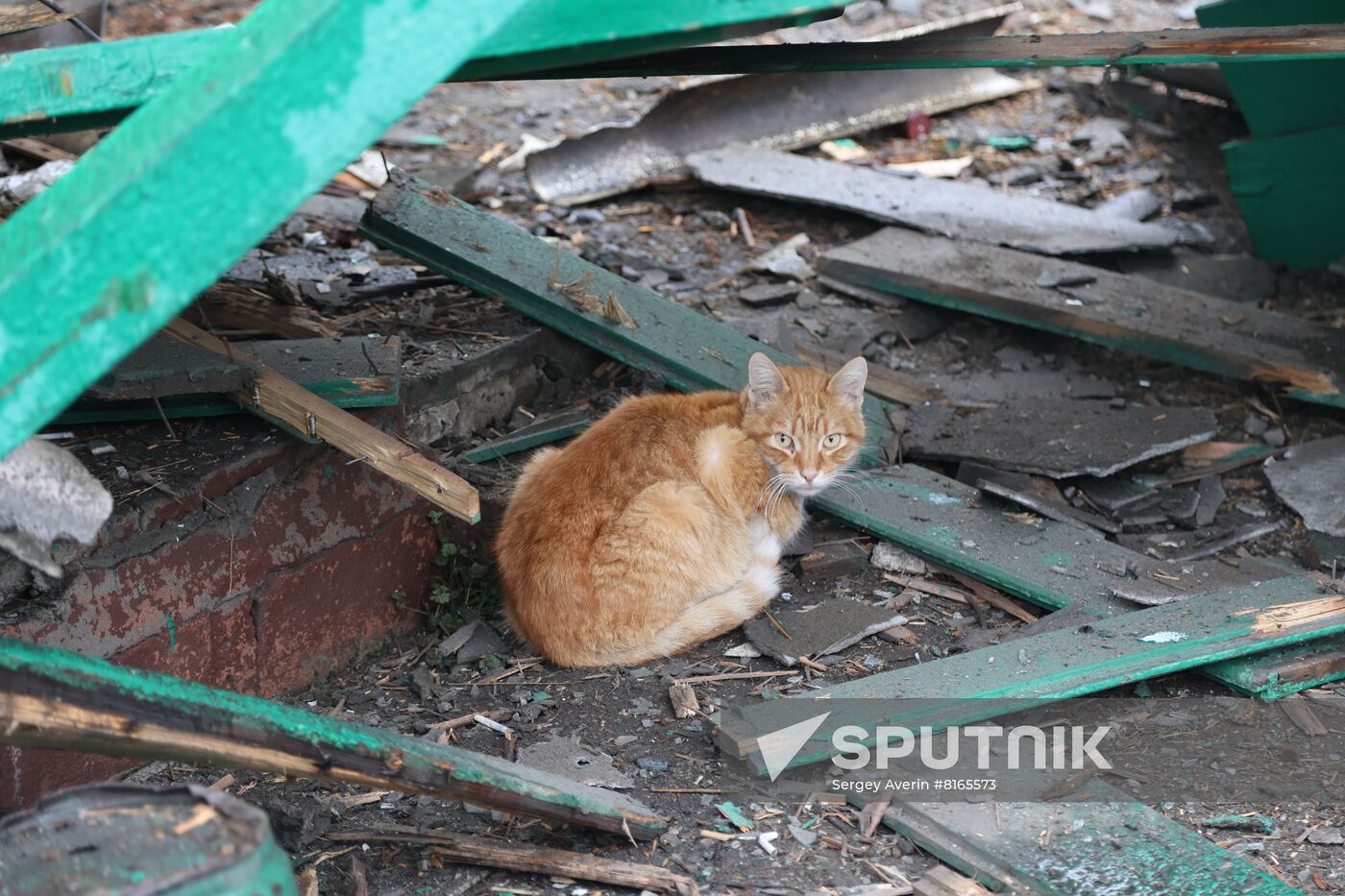 DPR LPR Russia Ukraine Military Operation