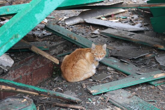 DPR LPR Russia Ukraine Military Operation