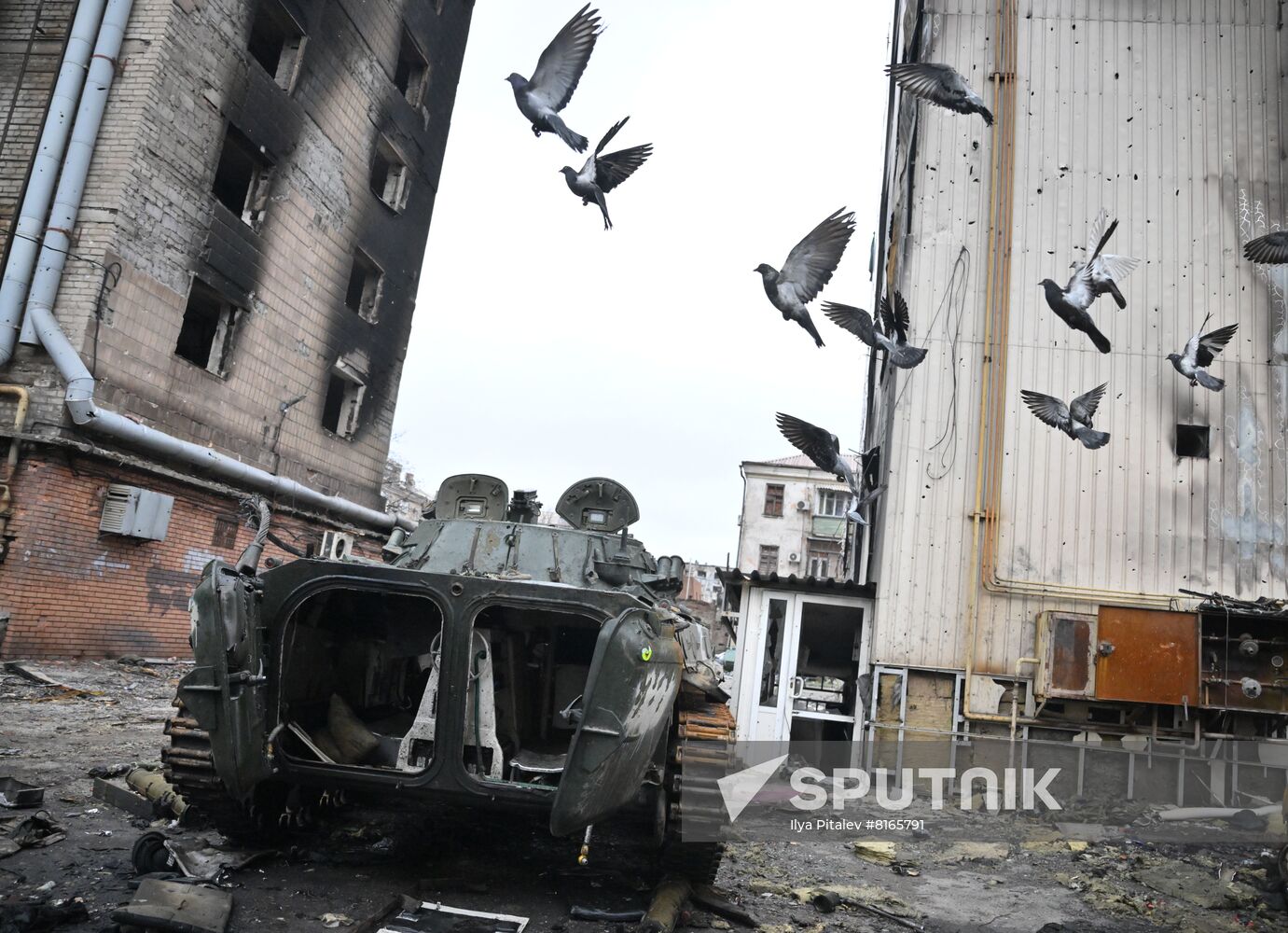 DPR LPR Russia Ukraine Military Operation