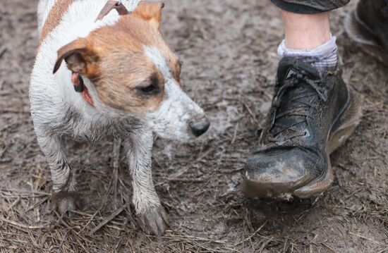 Russia Fast Dog Cross Country