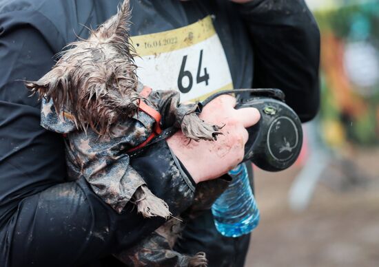 Russia Fast Dog Cross Country