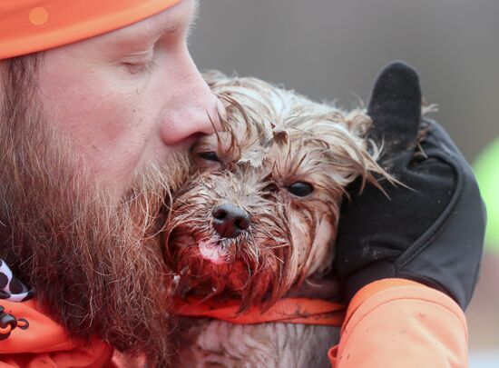 Russia Fast Dog Cross Country
