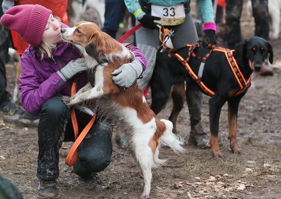 Russia Fast Dog Cross Country