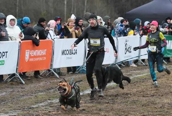 Russia Fast Dog Cross Country