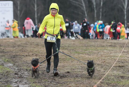 Russia Fast Dog Cross Country