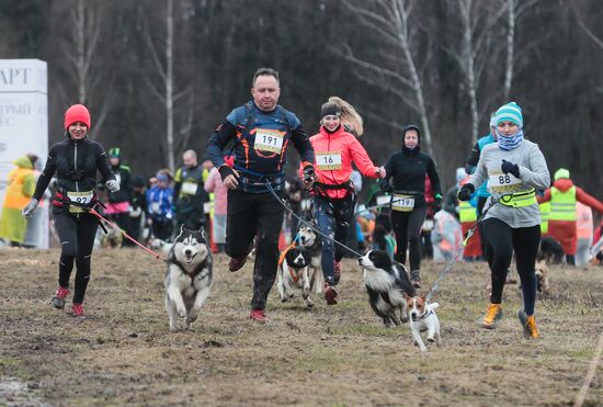 Russia Fast Dog Cross Country