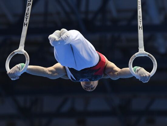Russia Artistic Gymnastics Championship Men