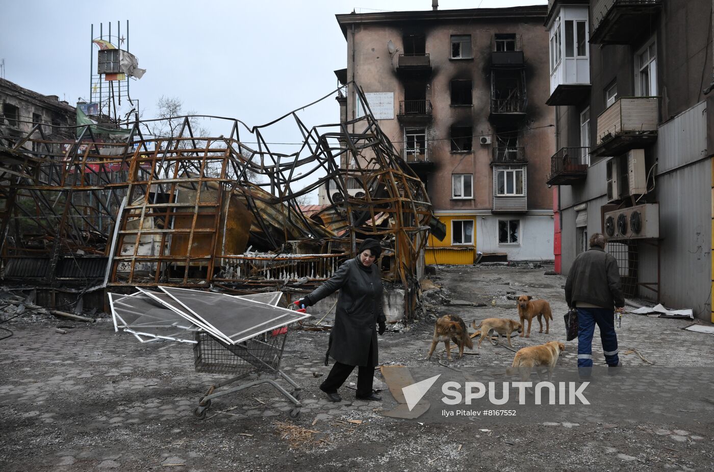 DPR LPR Russia Ukraine Military Operation