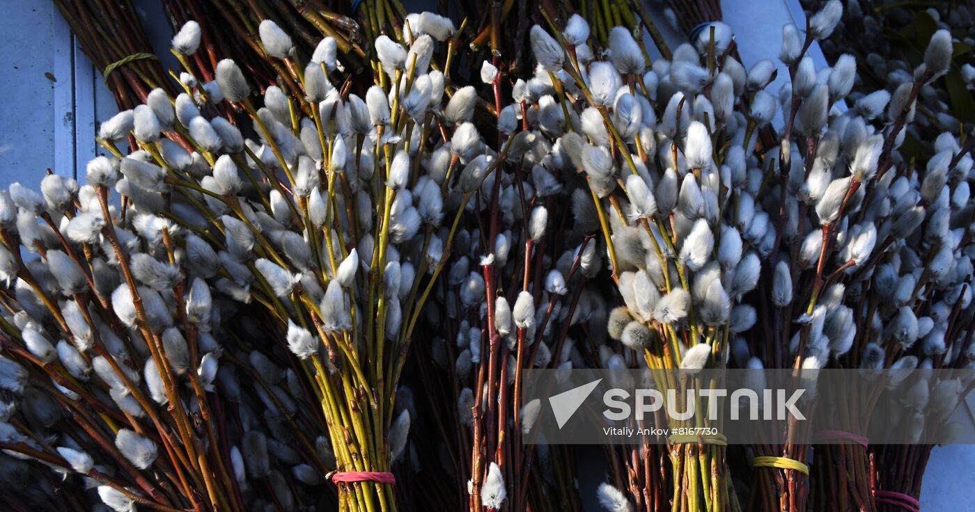 Russia Palm Sunday