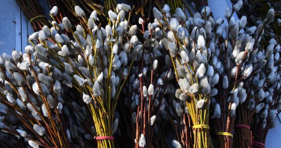 Russia Palm Sunday