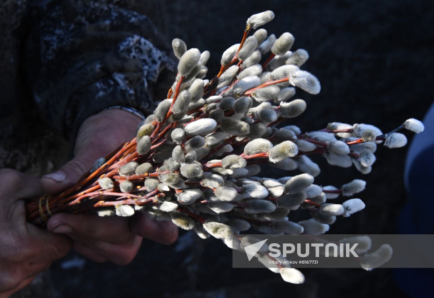 Russia Palm Sunday
