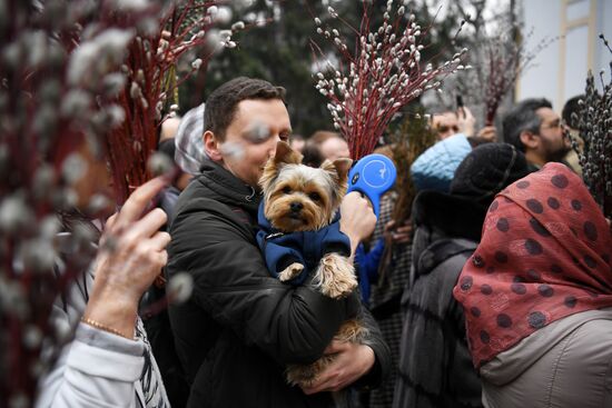 Russia Palm Sunday