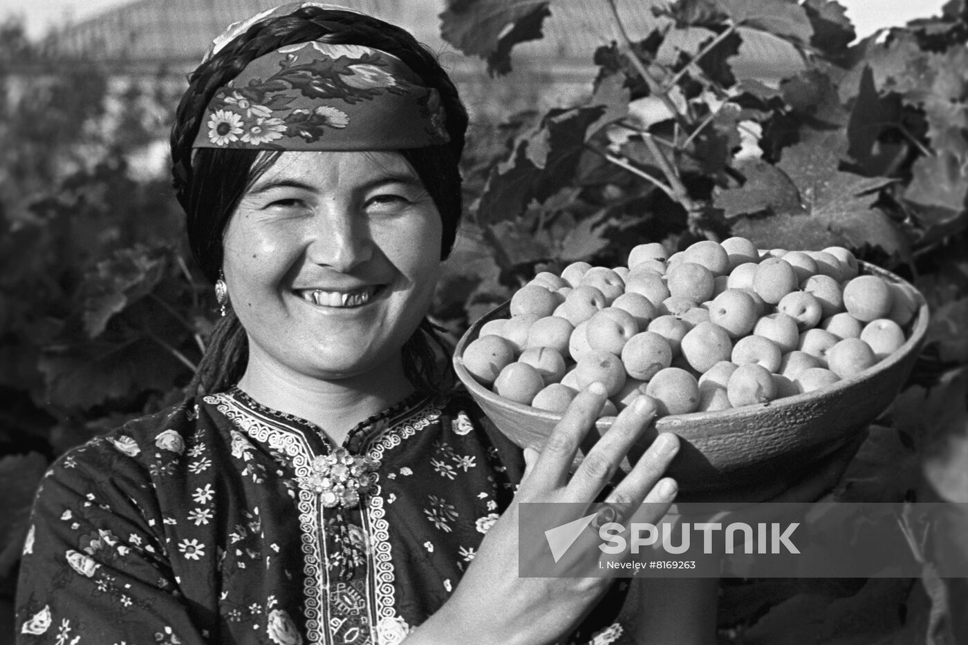 Socialism state farm in Turkmenistan