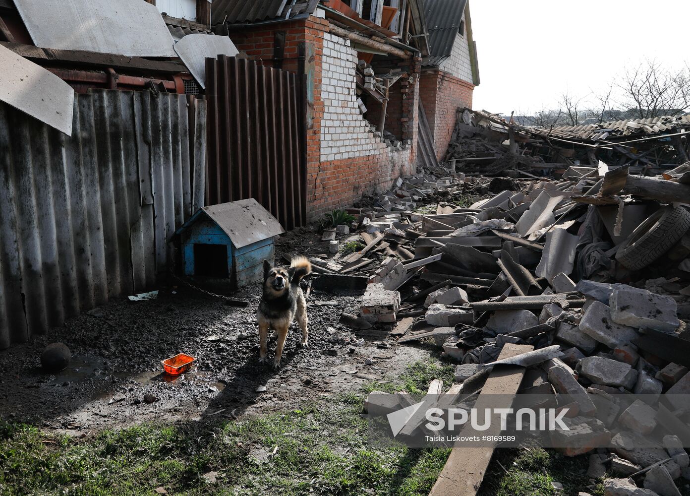 Russia Ukraine Military Operation