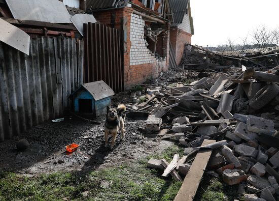 Russia Ukraine Military Operation