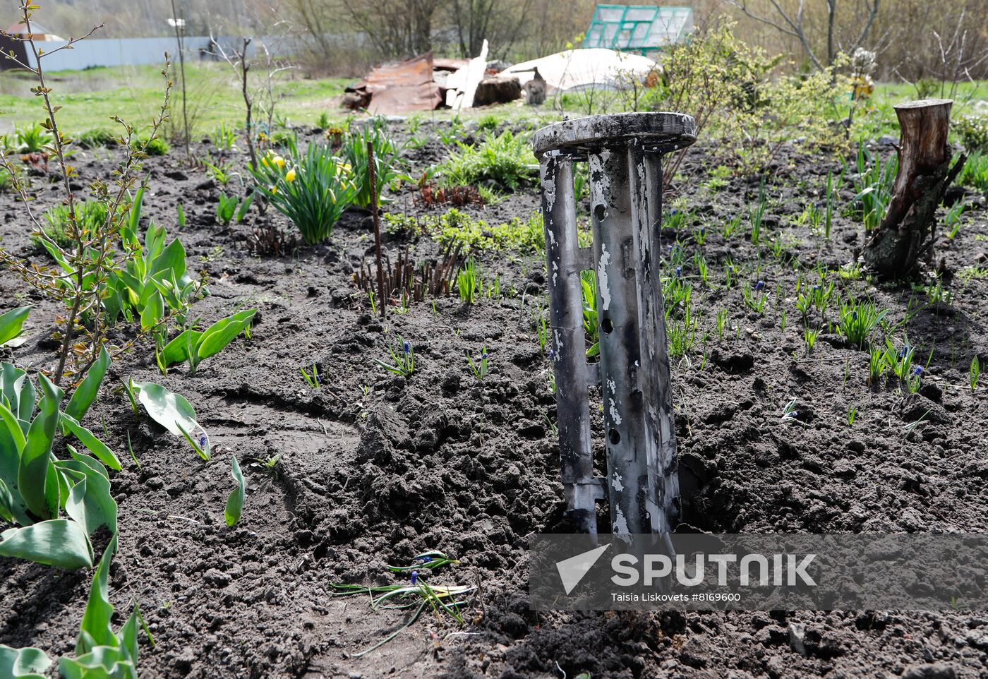 Russia Ukraine Military Operation