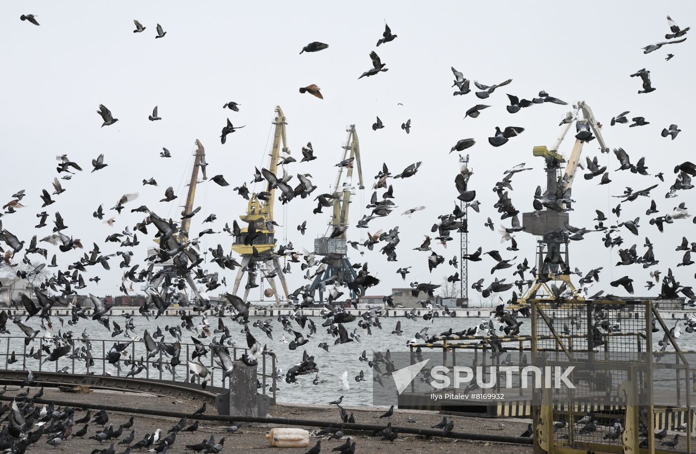 DPR LPR Russia Ukraine Military Operation