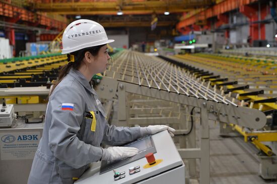 Russia Steel Industry