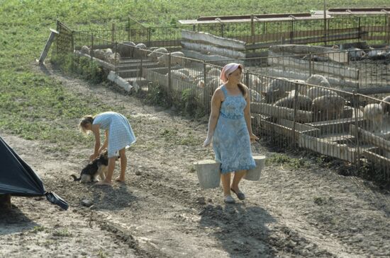 Yury Tishchenko's farm in Voronovo