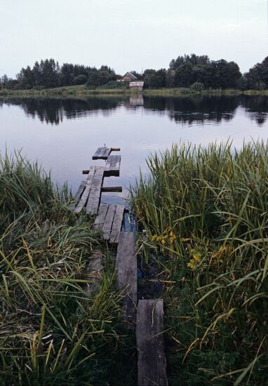 Belarusian beemaster Pimen Rusalovsky