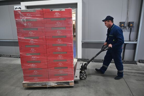 Russia Ukraine Orthodox Easter Preparations