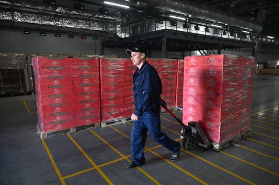 Russia Ukraine Orthodox Easter Preparations