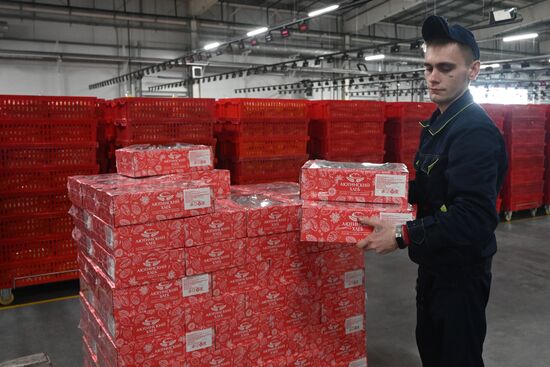 Russia Ukraine Orthodox Easter Preparations