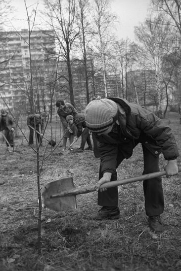 Improving Moscow
