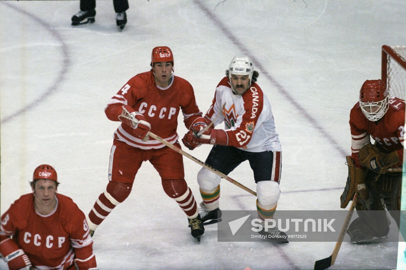 World and European Hockey Championships