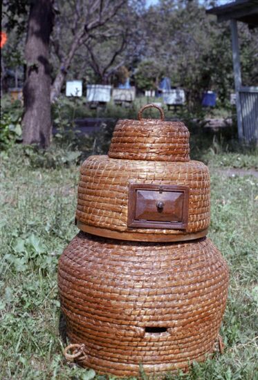 Beekeeping Research Institute