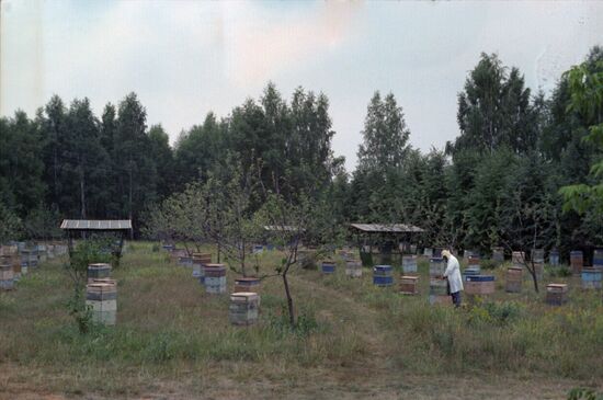 Beekeeping Research Institute