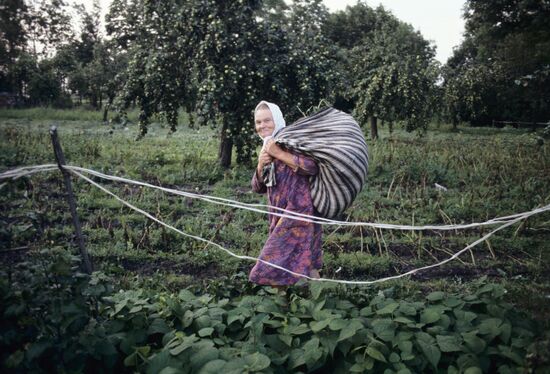 Belarusian beemaster Pimen Rusalovsky