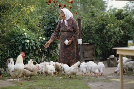 Belarusian beemaster Pimen Rusalovsky