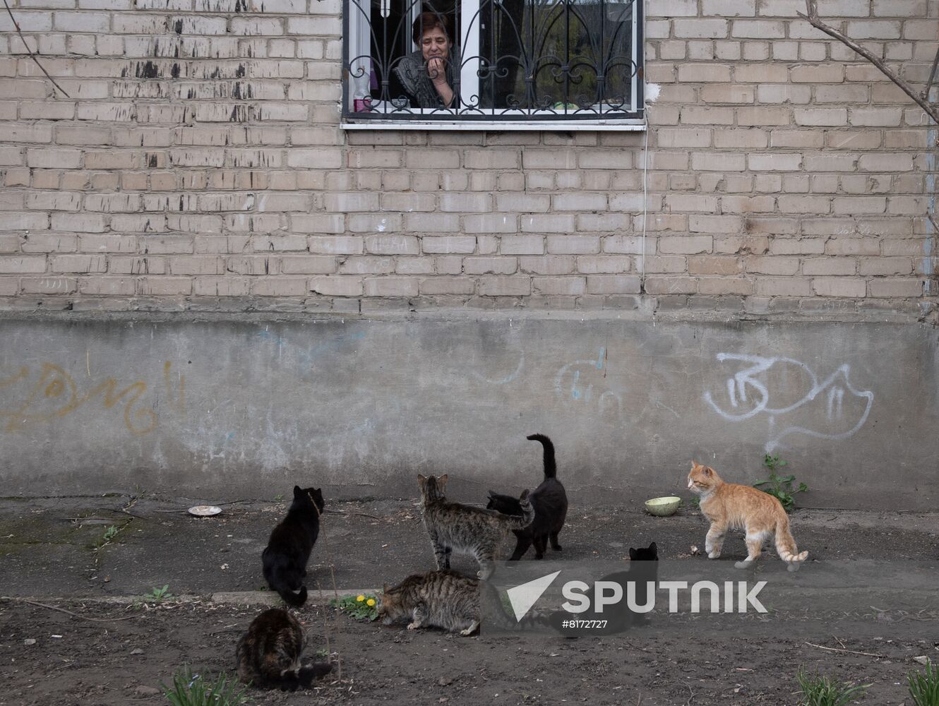 Ukraine Russia Military Operation