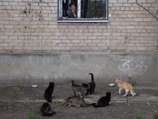 Ukraine Russia Military Operation