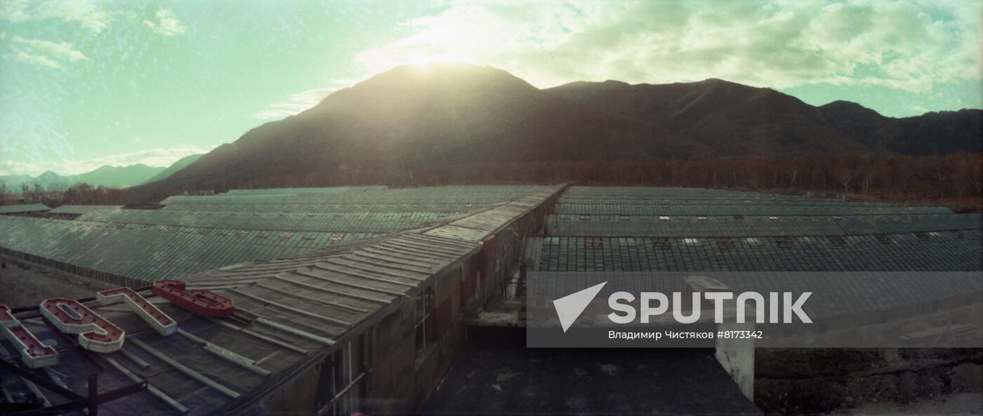 Greenhouse farm