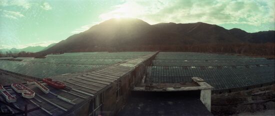 Greenhouse farm