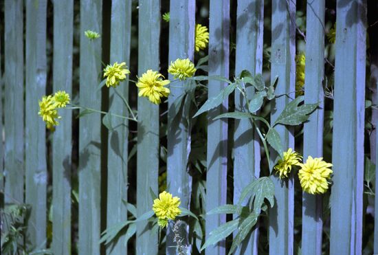 Zhostovo Art Factory