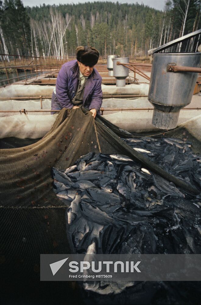 Fish-breeding facility of Krasnoyarsk-45 Electric-Chemical Plant