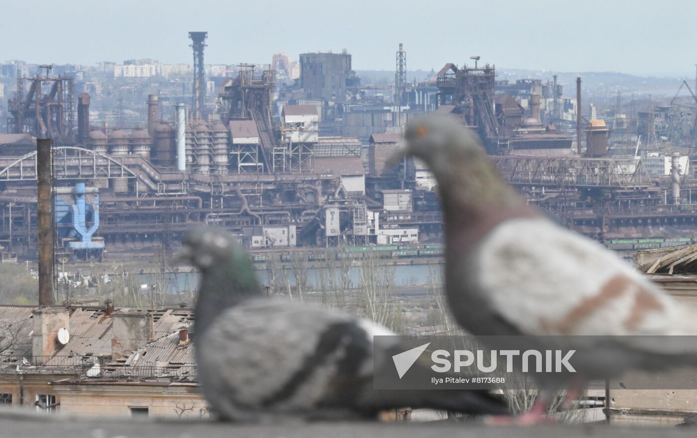DPR LPR Russia Ukraine Military Operation