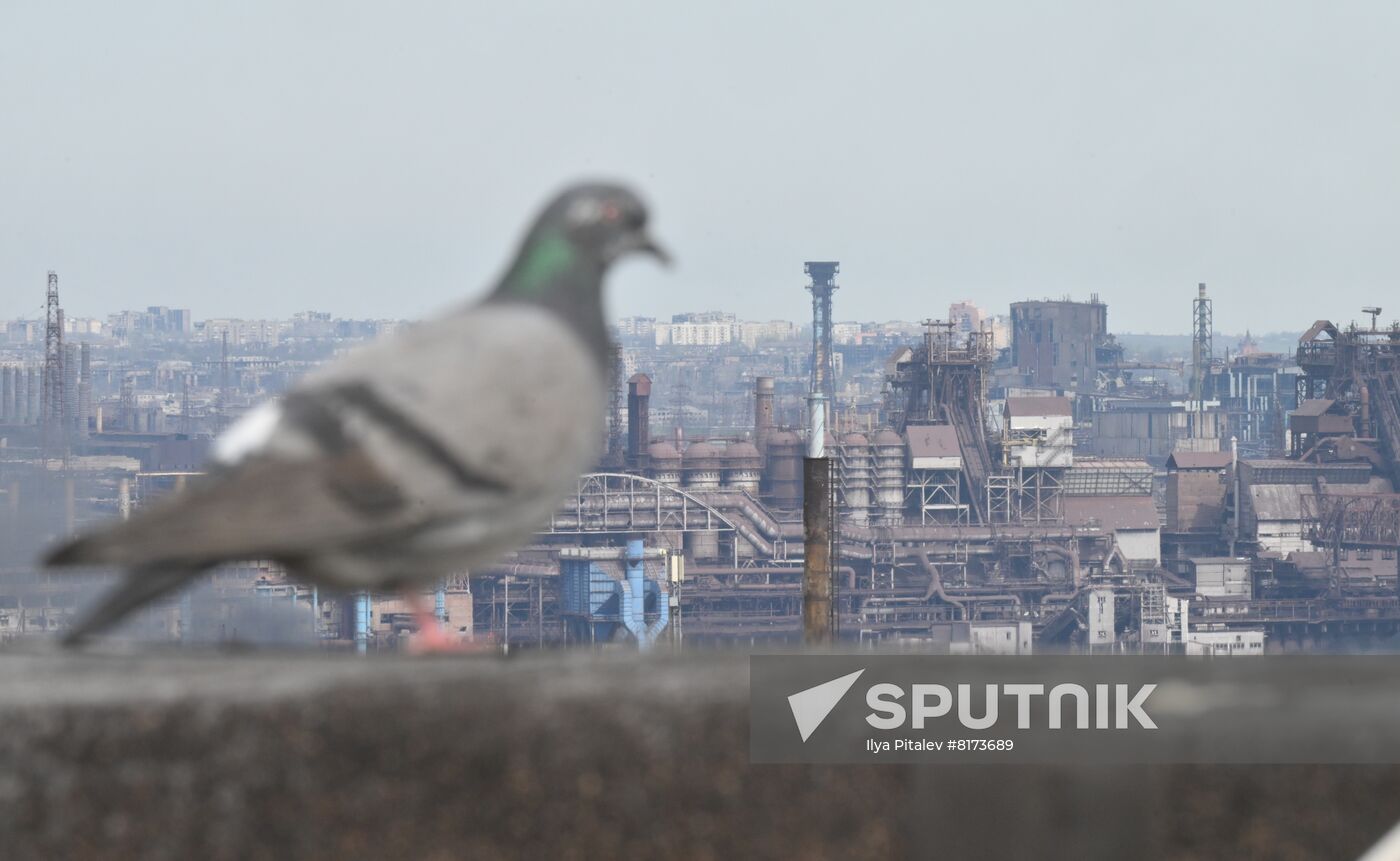 DPR LPR Russia Ukraine Military Operation